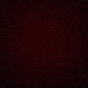 Meet your Posher, Mackenzie